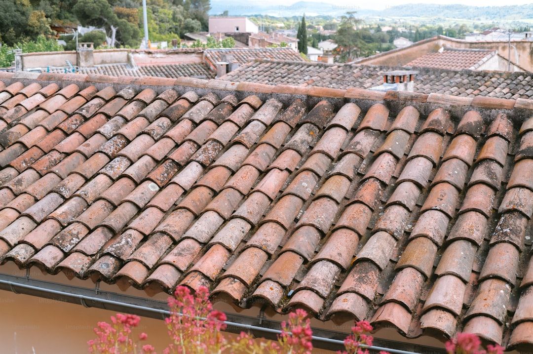 Rustic terracotta clay tile roof against a warm landscape