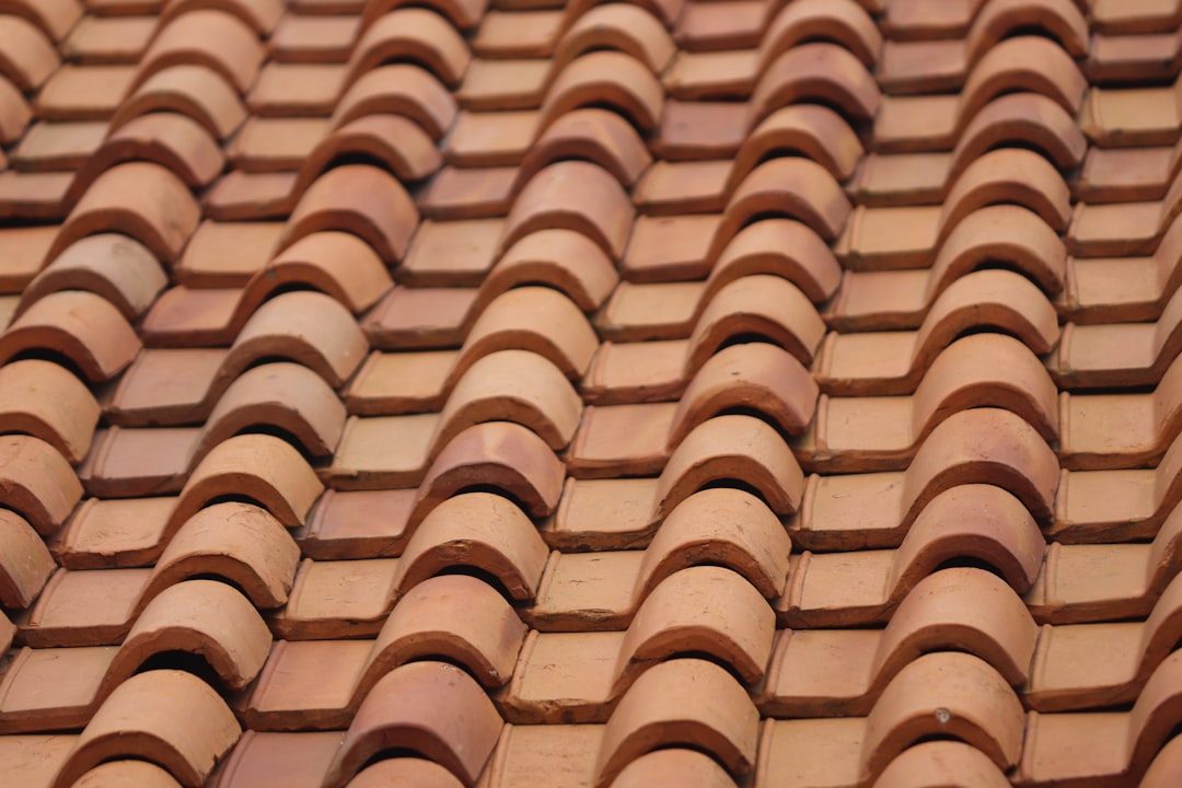 Close-up of warm terracotta barrel clay tiles