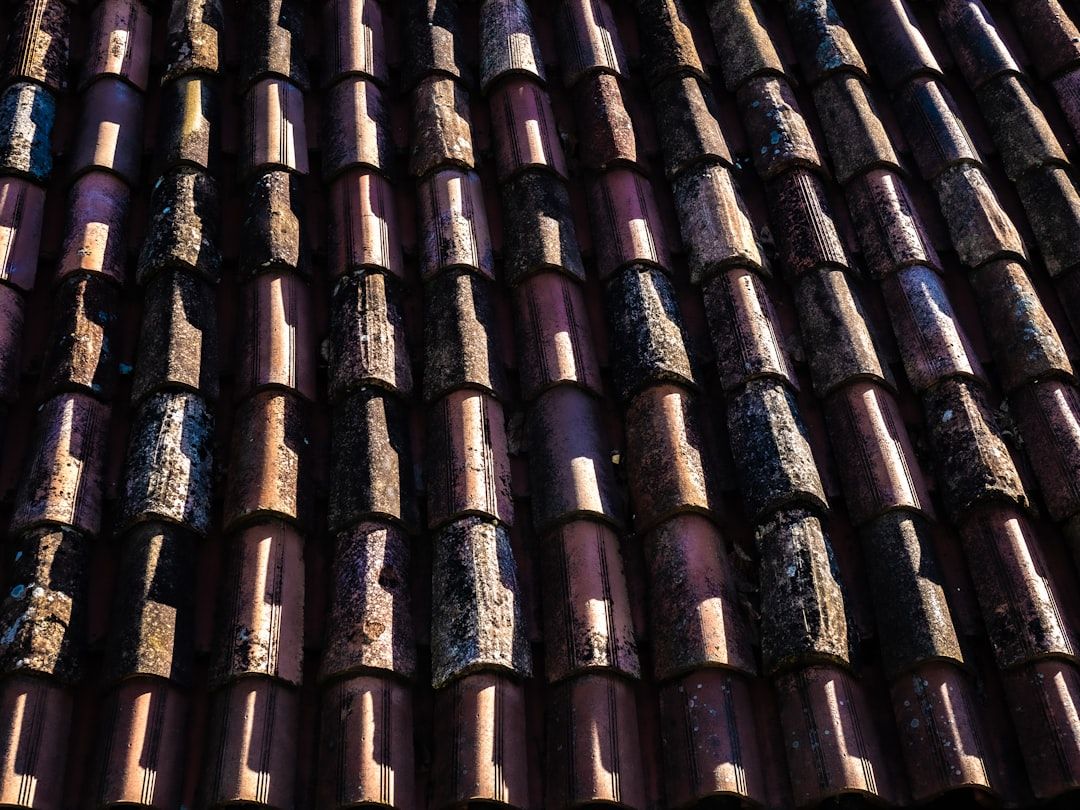 Close-up of warm terracotta barrel clay tiles